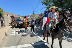 Illapel celebra el Día de la Trashumancia y el Criancero Caprino con más de 2 mil cabras recorriendo las calles de la ciudad