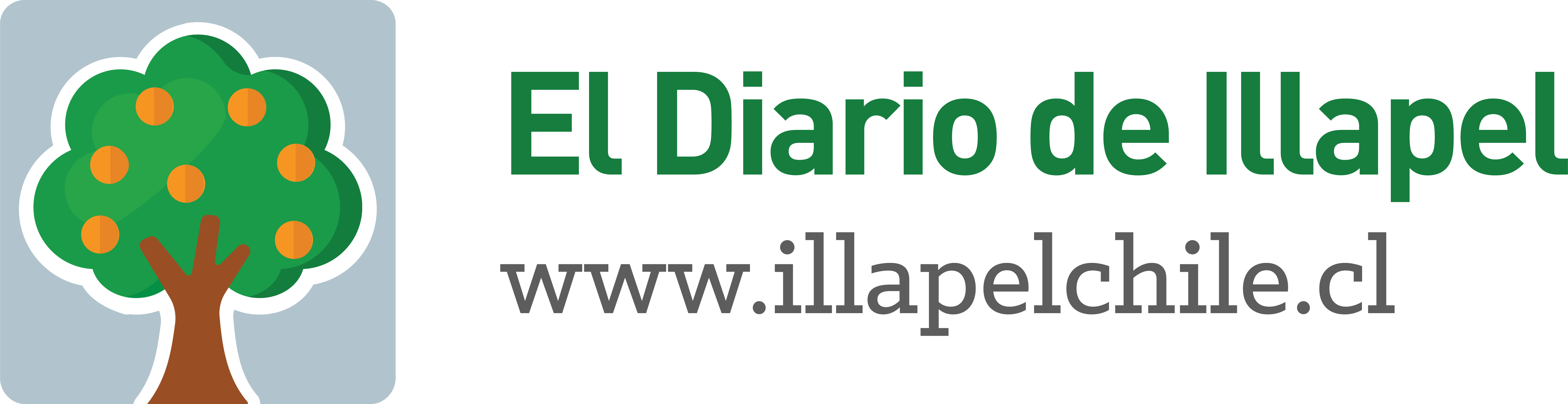 El Diario de Illapel