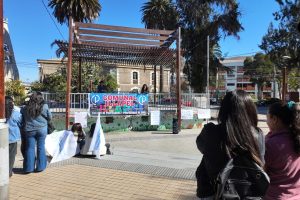 Colegio de Profesoras y Profesores de Illapel se une a paro nacional por la agenda corta
